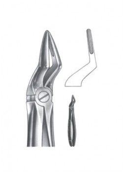 Extracting Forceps